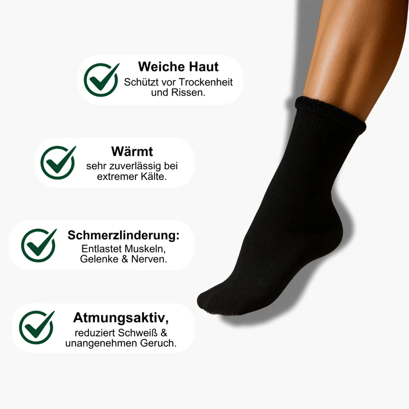 Winter - Starter Set