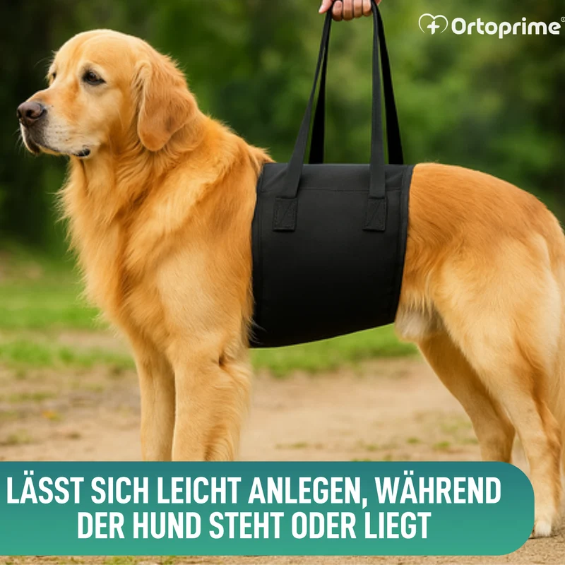 Hilfe-Band für Hunde mit Eingeschränkter Mobilität | 5 Größen