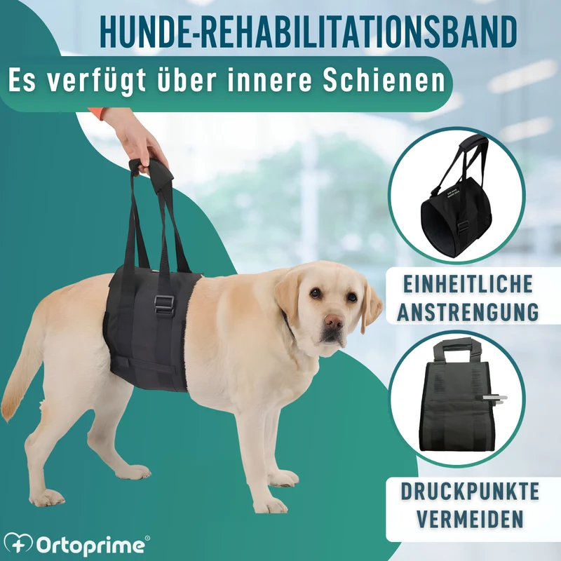 Hilfe-Band für Hunde mit Eingeschränkter Mobilität | 5 Größen