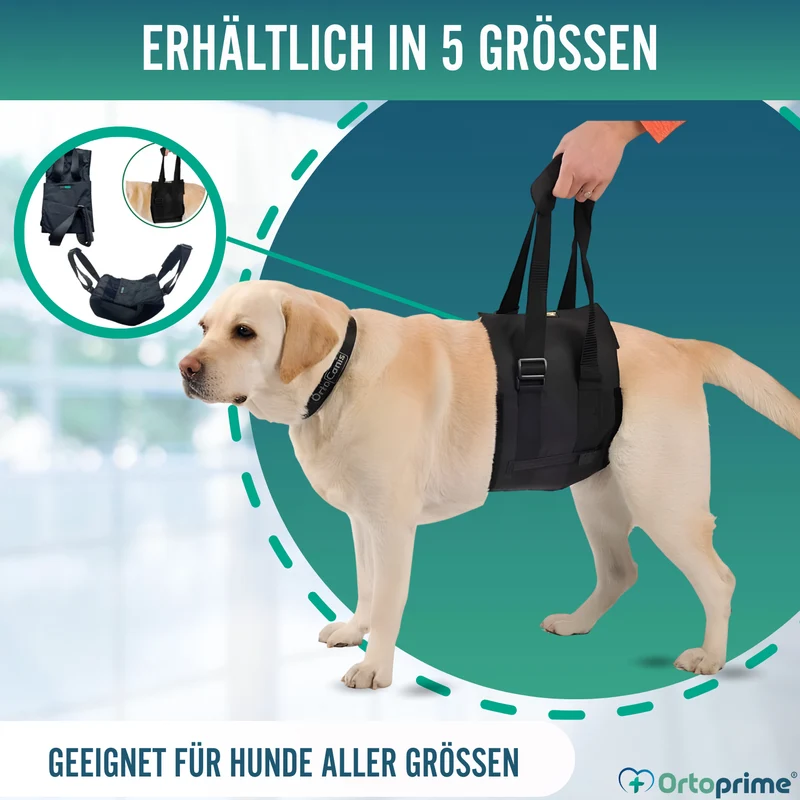 Hilfe-Band für Hunde mit Eingeschränkter Mobilität | 5 Größen