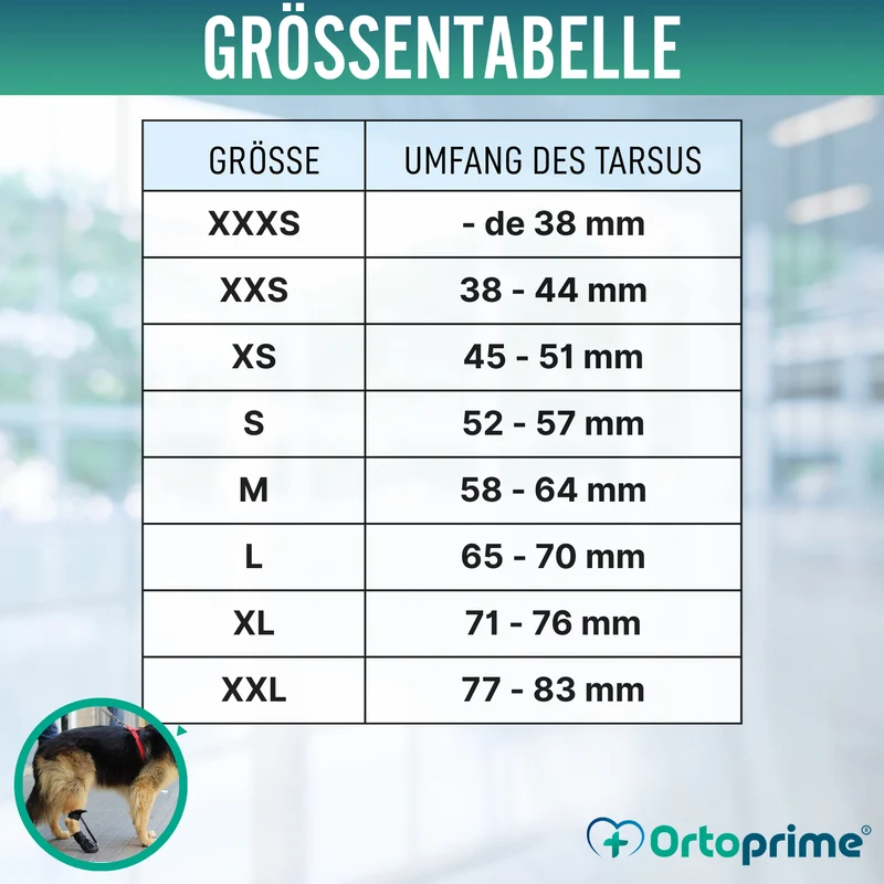 Schuh für Propriozeptiven Hundekorrektor | Gummisohle