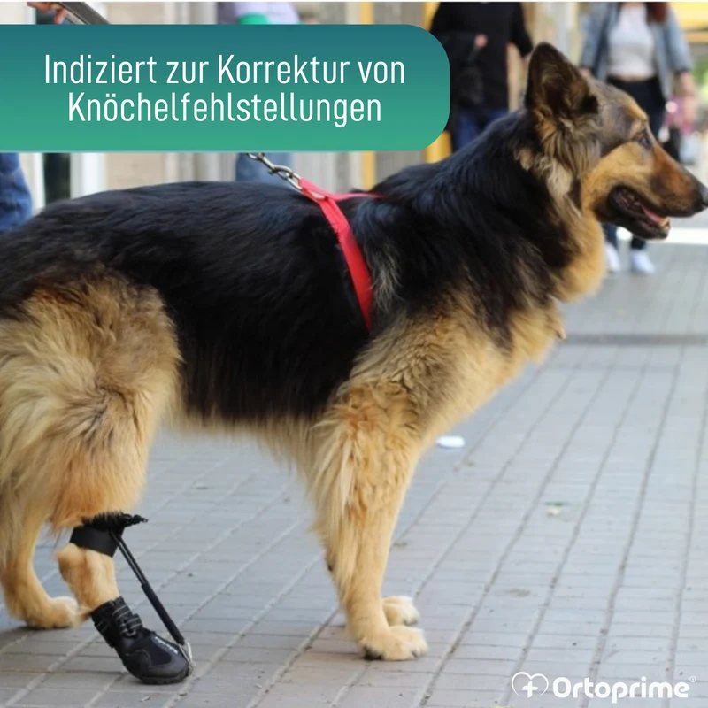 Schuh für Propriozeptiven Hundekorrektor | Gummisohle