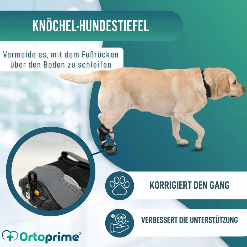 Schuh für Propriozeptiven Hundekorrektor | Gummisohle