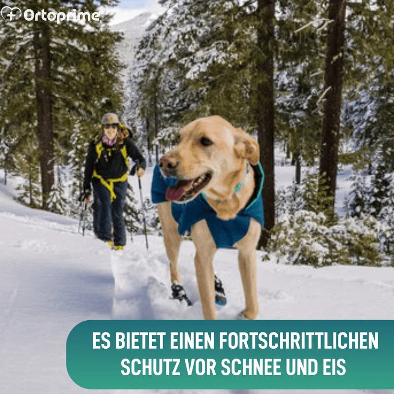 Hoher Winterstiefel für Hunde | Rutschfeste Sohle