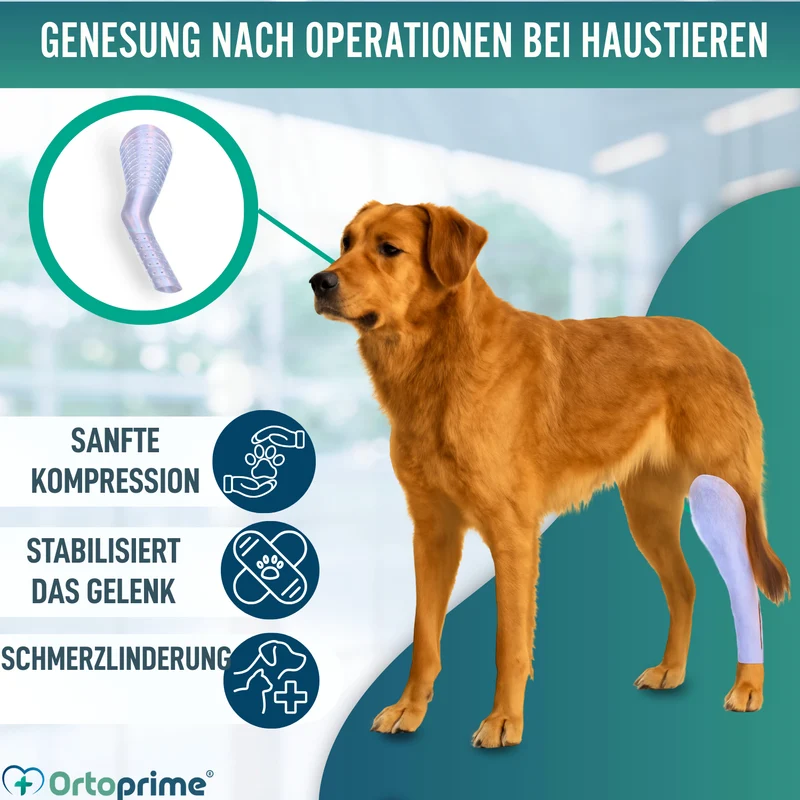 Schnellschiene für Hunde und Katzen | 3 Größen