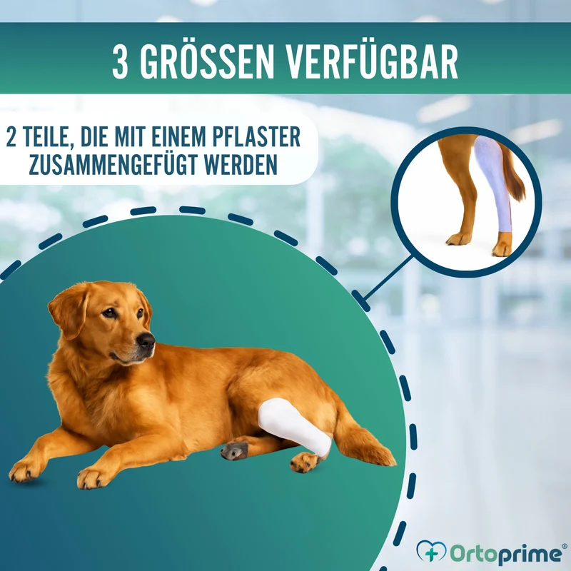 Schnellschiene für Hunde und Katzen | 3 Größen