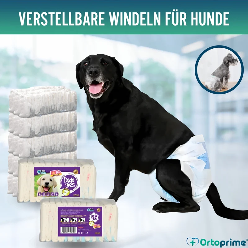 Hundewindeln für Hündinnen & Welpen | Hohe Saugkraft