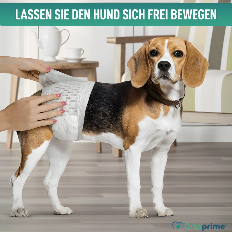 Hundewindeln für Rüden Ultra Saugfähig | 12er Pack