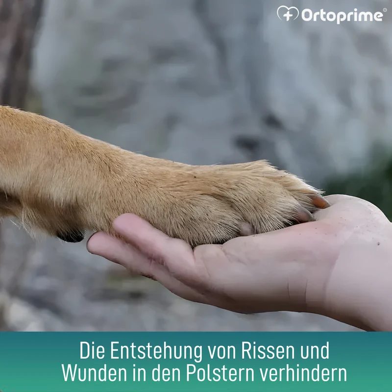 Pfotenbalsam für Hunde | Aloe Vera 50 ml