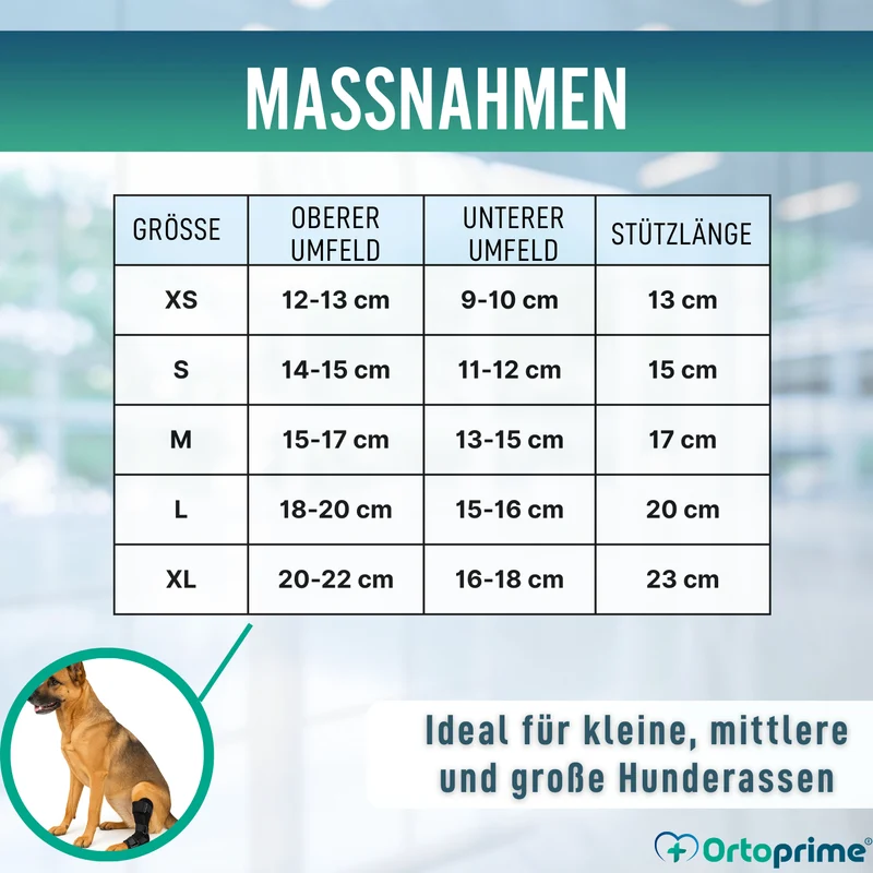 Tarsalstütze für Hunde mit Abnehmbaren Schienen | 2 Stk