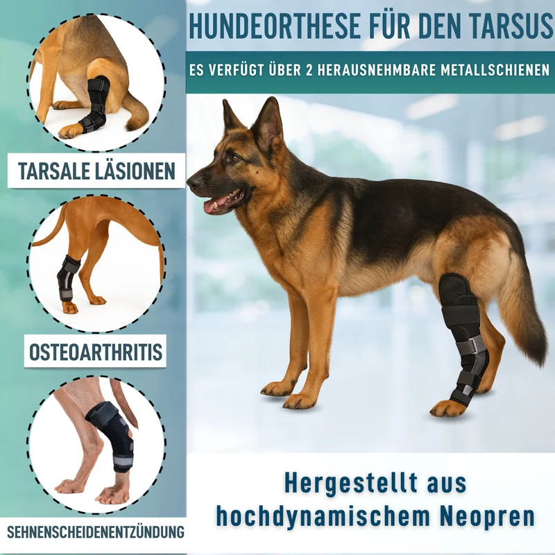 Tarsalstütze für Hunde mit Abnehmbaren Schienen | 2 Stk