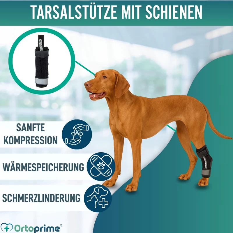 Tarsalstütze für Hunde mit Abnehmbaren Schienen | 2 Stk