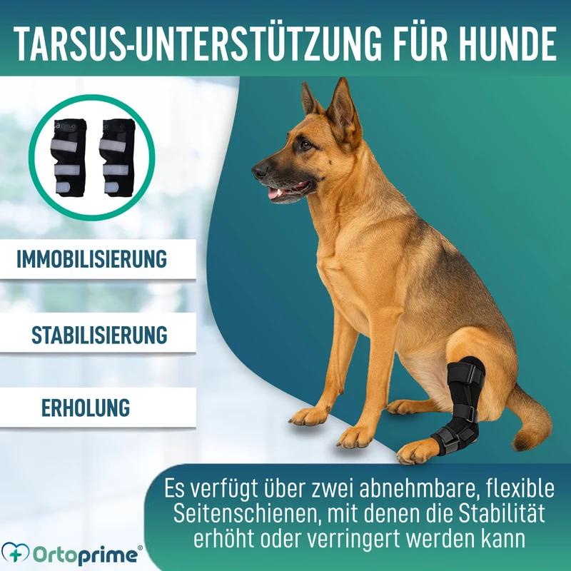 Tarsalstütze für Hunde mit Abnehmbaren Schienen | 2 Stk