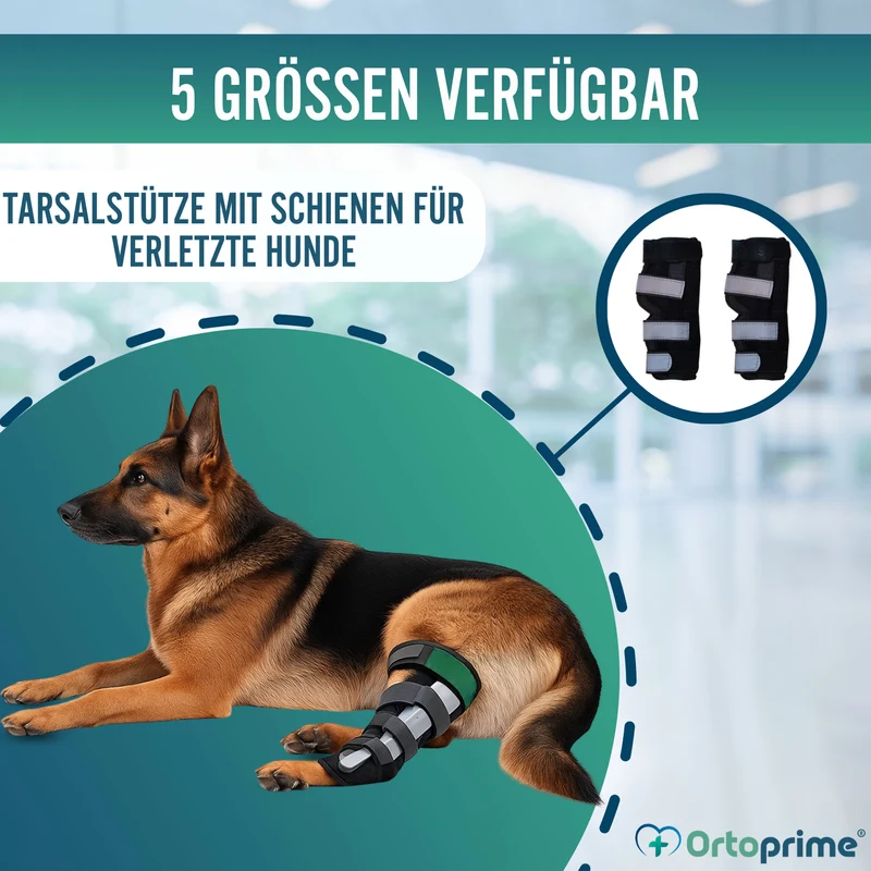Tarsalstütze für Hunde mit Abnehmbaren Schienen | 2 Stk