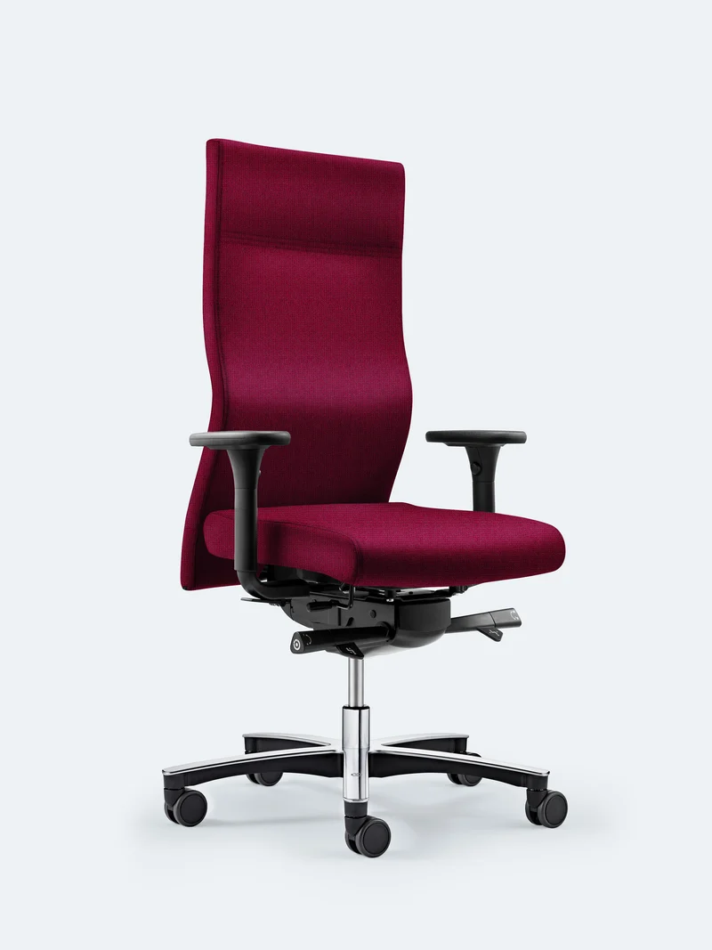 Löffler Plus Viskositz XL (fest)