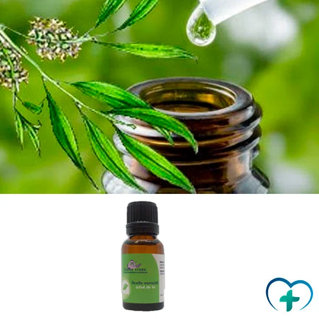 Teebaumöl Ätherisch | Hautpflege und Therapeutisch