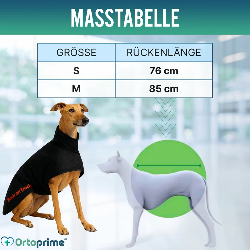 Wasserdichter Thermo-Mantel für Greyhound | 2 Größen