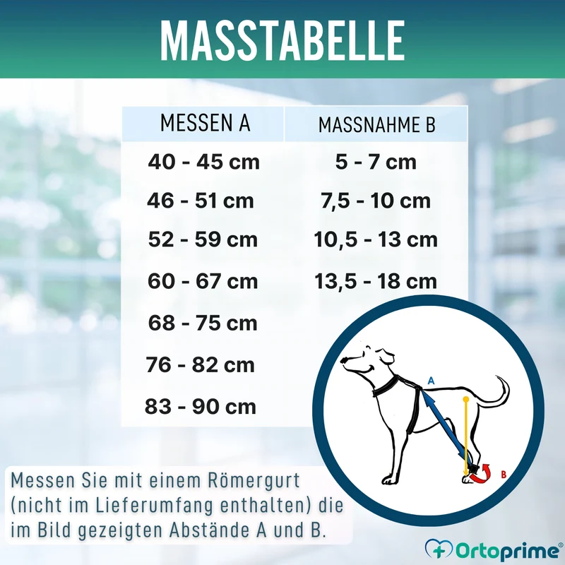 Gerät für Hundeataxie | Hilfe für Hunde