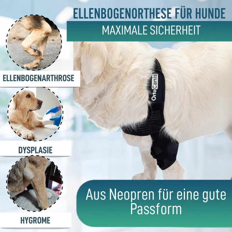 Ellbogenorthese für Hunde mit Arthrose Gelenkrehabilitation