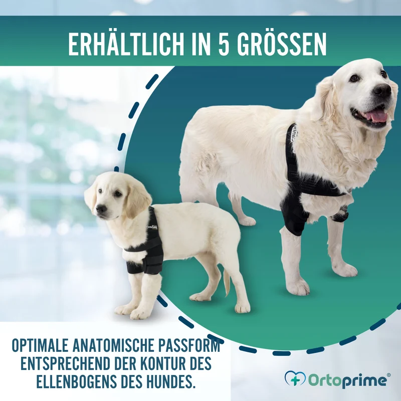 Ellbogenorthese für Hunde mit Arthrose Gelenkrehabilitation