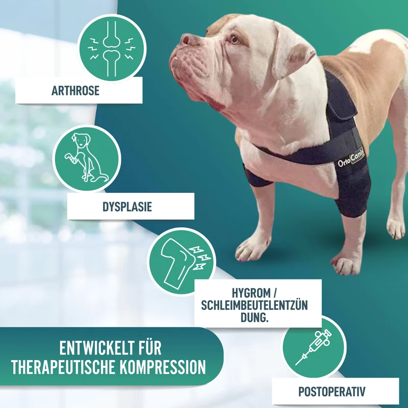 Ellbogenorthese für Hunde mit Arthrose Gelenkrehabilitation