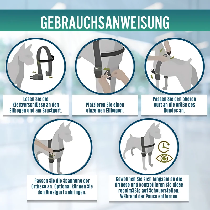 Ellbogenorthese für Hunde mit Arthrose Gelenkrehabilitation