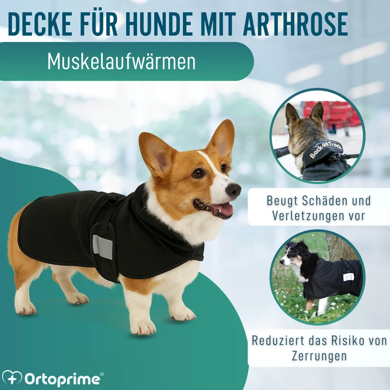 Hundedecke für Hunde mit Back on Track Gewebe | 21 Größen