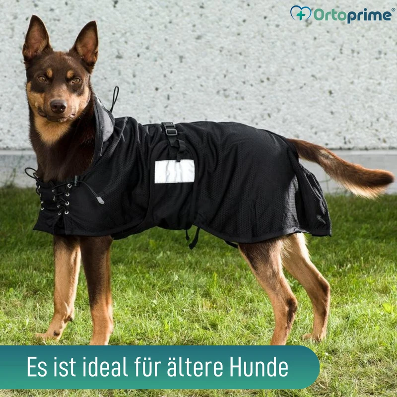 Hundedecke für Hunde mit Back on Track Gewebe | 21 Größen