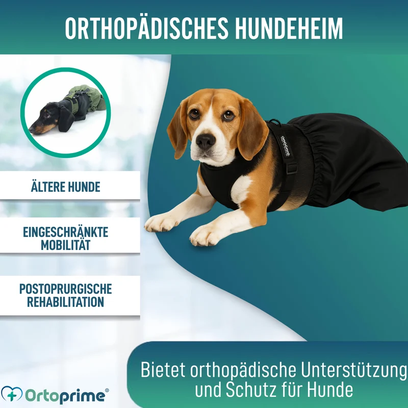 Nylonmantel für Hunde mit Bewegungseinschränkung | 6 Größen