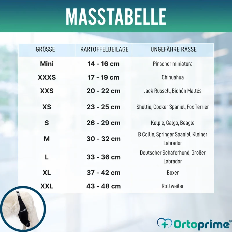 Knieimmobilisator für Hunde aus Neopren | 9 Größen