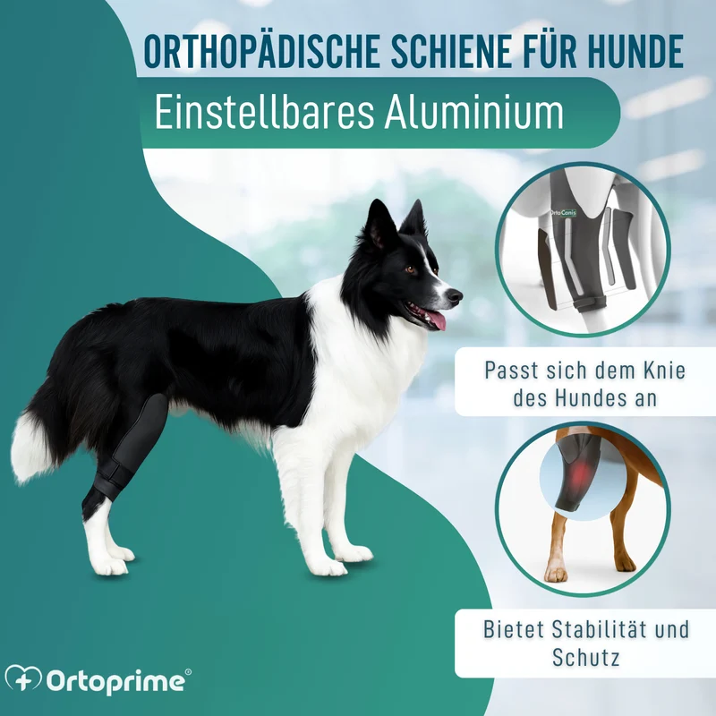 Knieimmobilisator für Hunde aus Neopren | 9 Größen