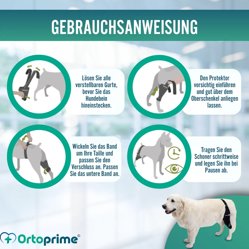 Knieimmobilisator für Hunde aus Neopren | 9 Größen