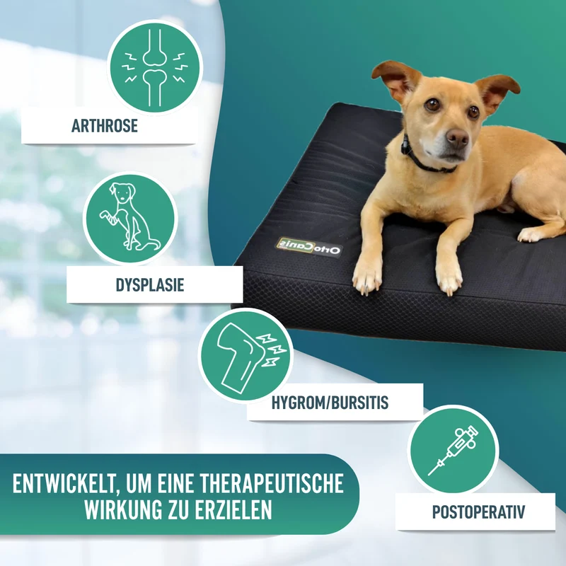 Viscoelastische Hundematratze, wasserfester Bezug | 4 Größen
