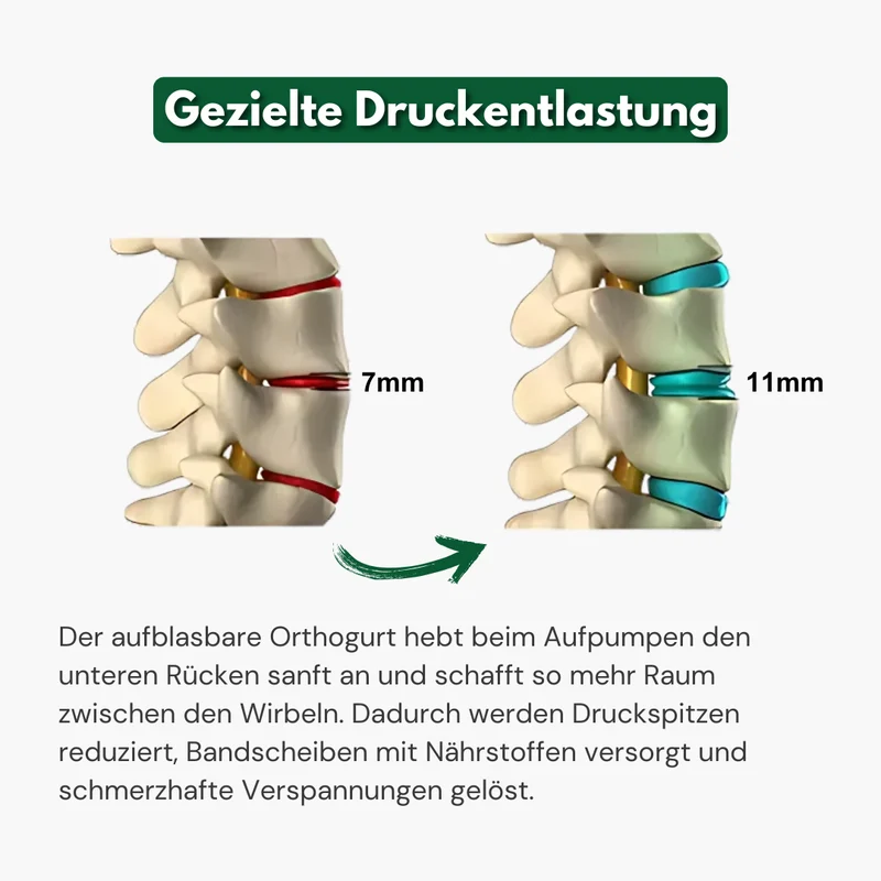 Orthogurt™ - Orthopädischer Lendengurt Rückengurt - Schmerzfrei durch den Tag