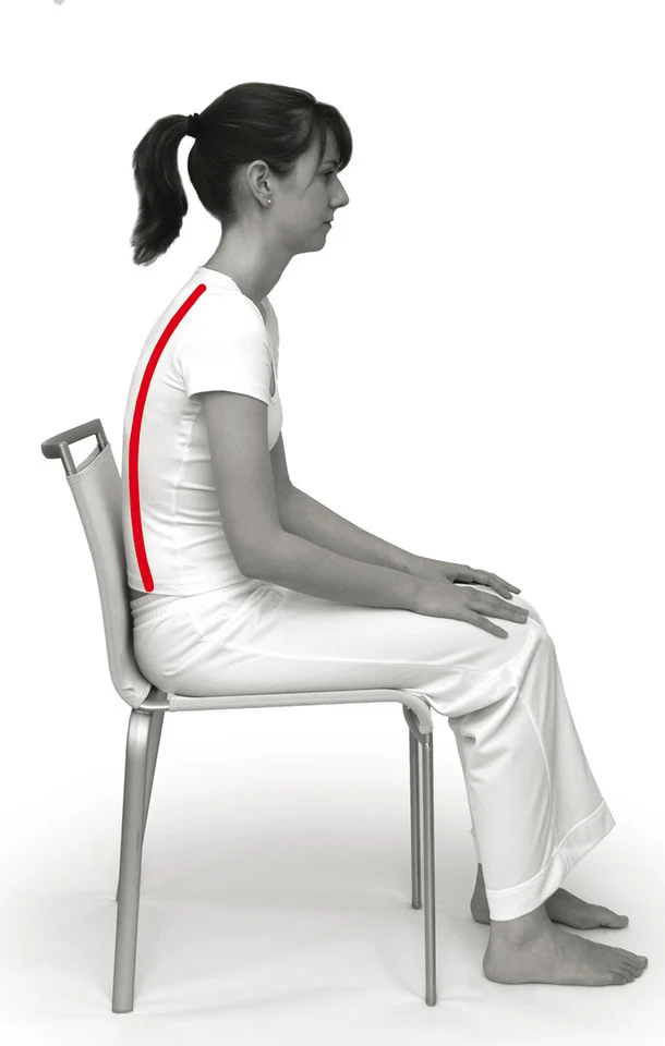 Keilkissen SISSEL® Sit Spezial 2 in 1