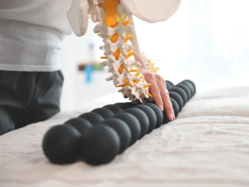 SPINEFITTER® by SISSEL®
