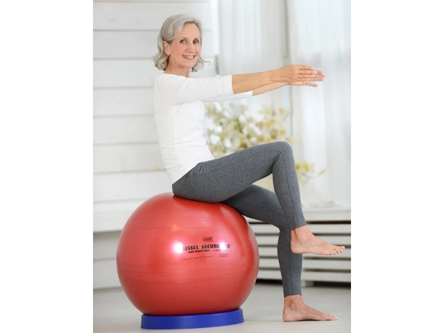 SISSEL® SECUREMAX® Gymnastikball