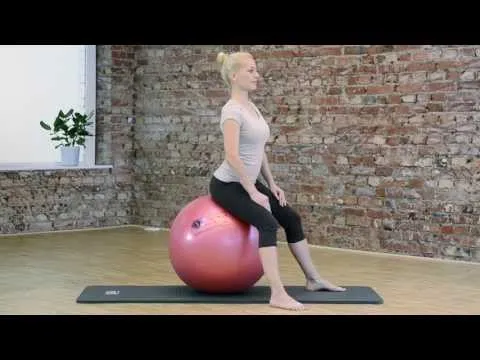 SISSEL® SECUREMAX® Gymnastikball