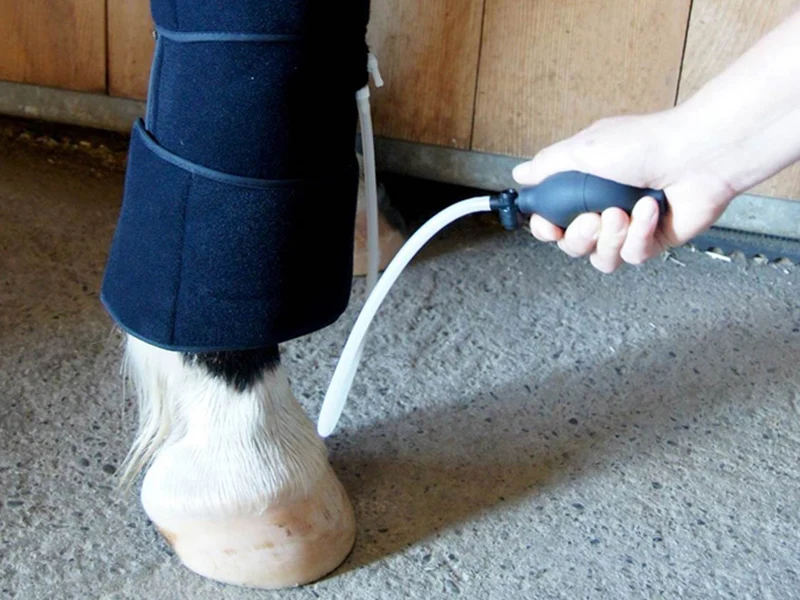 SISSEL® Cold Therapy Compression - Pferd