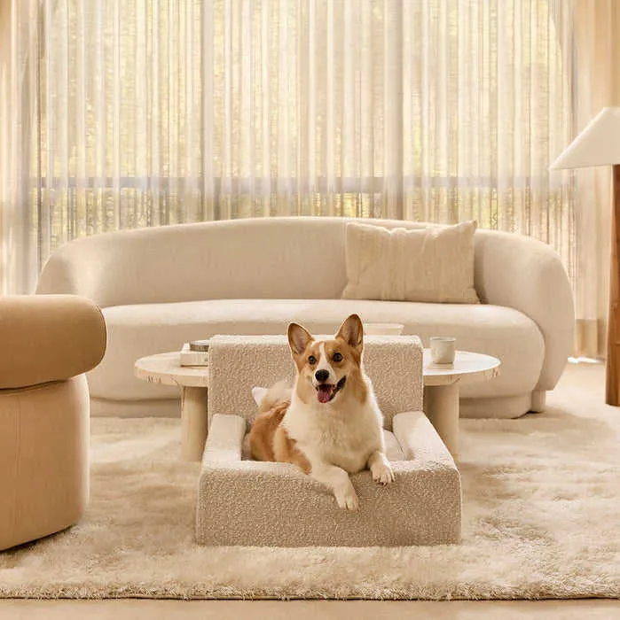 Modernes Lounge-Sofa-Hundebett
