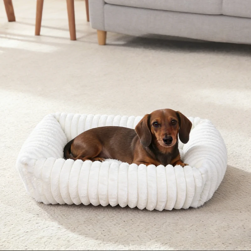 Luxuriöses Hundebett mit Kissen