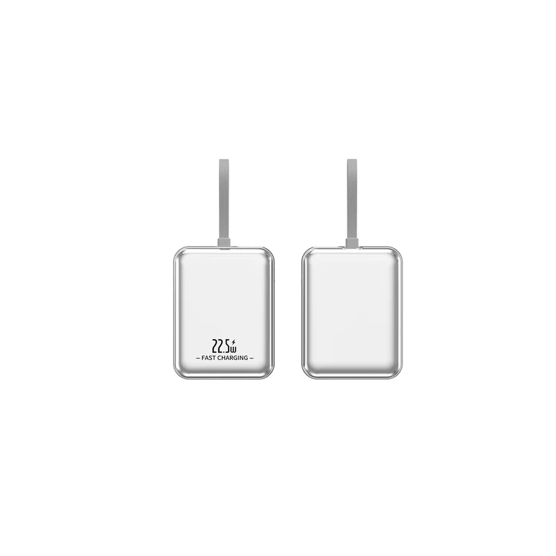 Hochleistungs-Powerbank mit integrierter Schnellladefunktion und digitaler Ladeanzeige Skanto