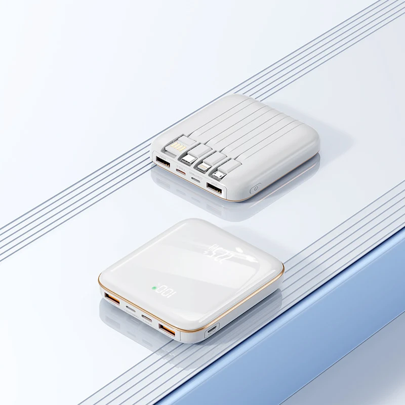 Leistungsstarke Powerbank Skanto
