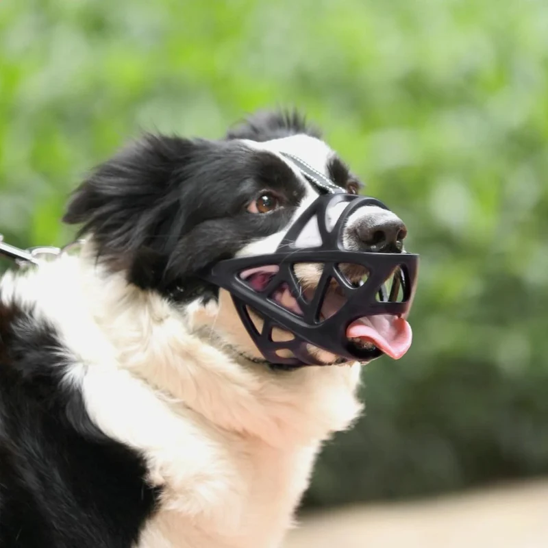 SafeBark Hundemaulkorb – Effektive Anti-Beiß- und Anti-Bell-Lösung, atmungsaktiv und bequem | Skanto