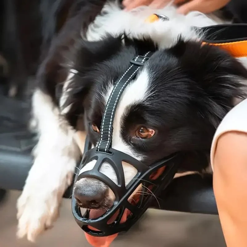 SafeBark Hundemaulkorb – Effektive Anti-Beiß- und Anti-Bell-Lösung, atmungsaktiv und bequem | Skanto