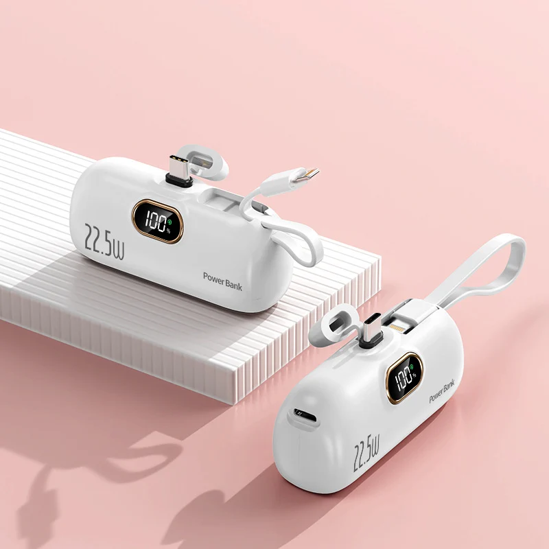 Tragbare Powerbank mit Schnellladekabel und LED-Anzeige Skanto