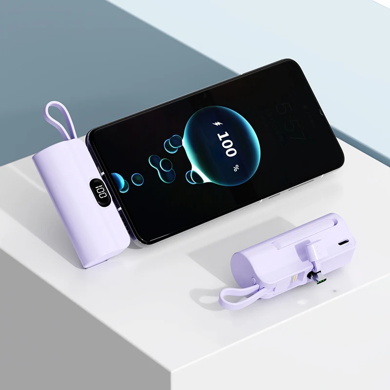 Powerbank für Skanto