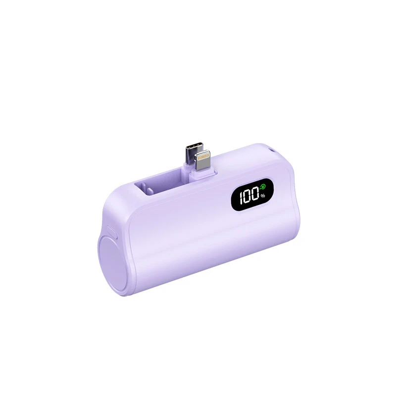 Kompakte Powerbank mit integrierter Ladefunktion und LED-Statusanzeige Skanto