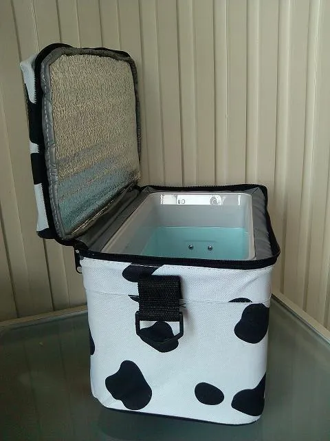 Isolierte Kühltasche Skanto
