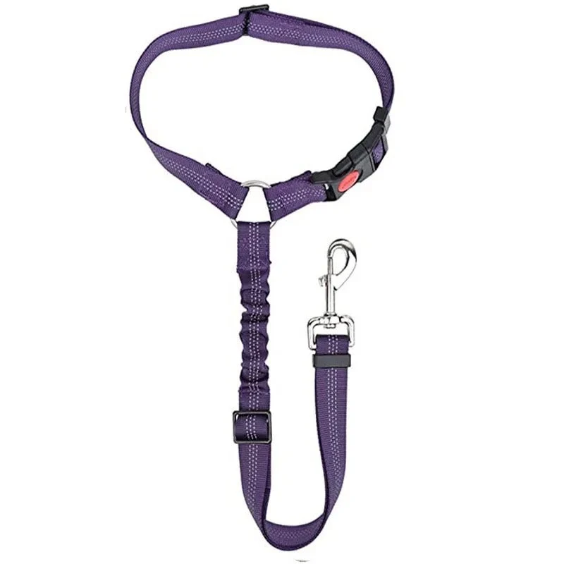 Skanto Hunde-Autosicherheitsgurt Skanto